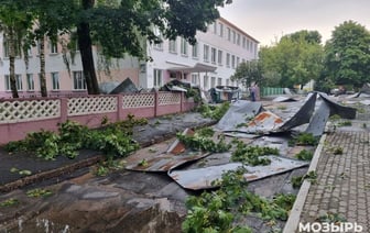 Сначала Лукашенко раскритиковал чиновников за плохую реакцию на последствия урагана, а теперь обвинил и самих пострадавших