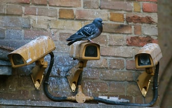 Грозит до 5 лет лишения свободы: в Витебске будут судить парней из Минска, устанавливавших камеры видеонаблюдения без лицензии