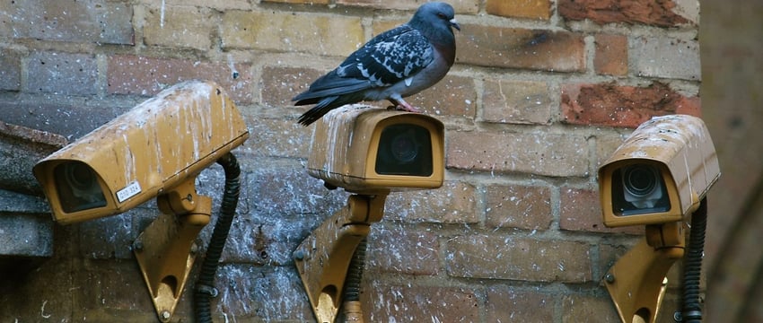 Грозит до 5 лет лишения свободы: в Витебске будут судить парней из Минска, устанавливавших камеры видеонаблюдения без лицензии