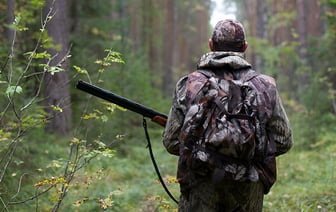 «Могут спокойно собирать грибы» – В Минлесхозе предупредили, кто и когда будет ходить с оружием в белорусских лесах