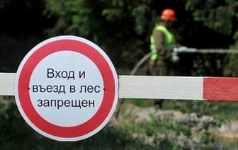 Почти в 70 районах Беларуси введены ограничения на посещение лесов