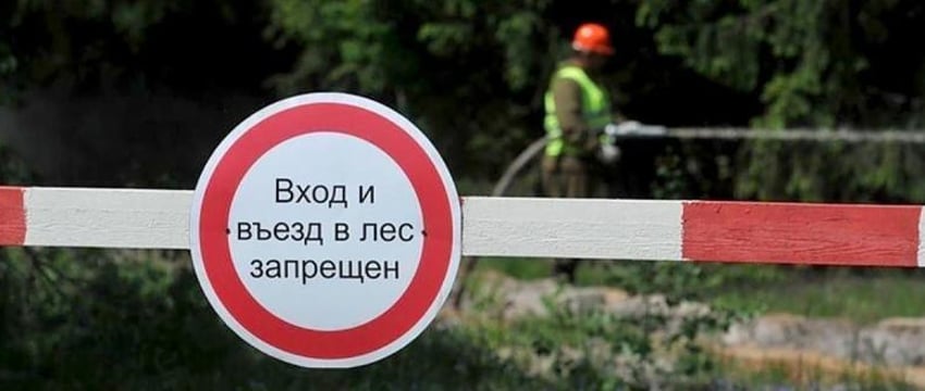 Почти в 70 районах Беларуси введены ограничения на посещение лесов