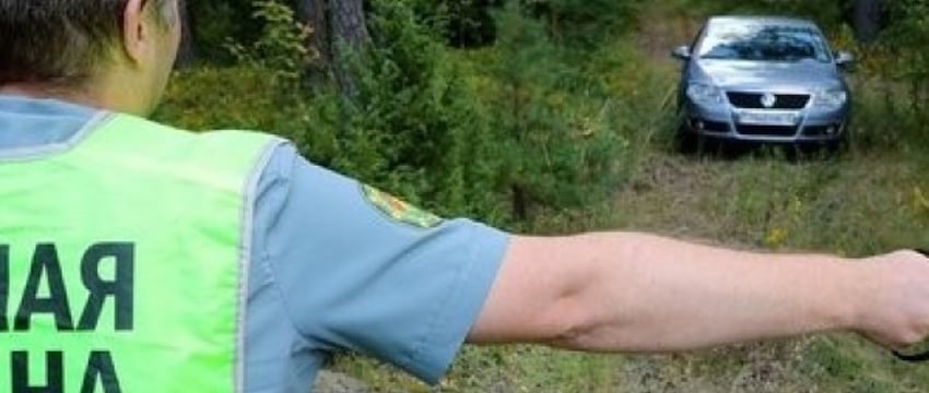 Ограничение на посещение лесов действует во всех районах Брестской области