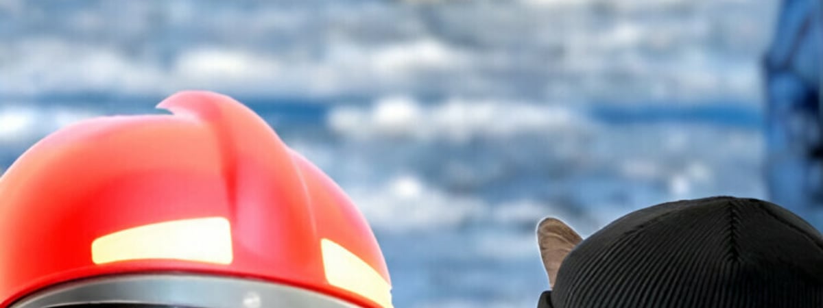 «Лучшего использования этих котов не видела!» – «Шедевральный» ролик белорусского МЧС собрал десятки тысяч просмотров — Видео