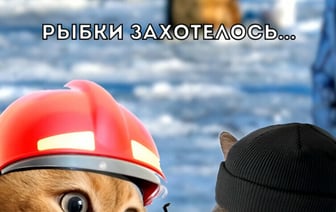 «Лучшего использования этих котов не видела!» – «Шедевральный» ролик белорусского МЧС собрал десятки тысяч просмотров — Видео