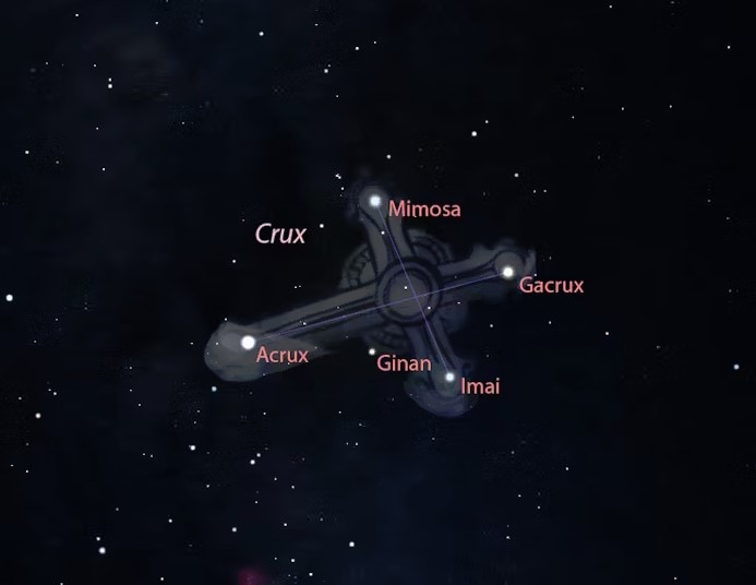 During July evenings, the Southern Crux can be found on its side, high in the southwest from Australia and Aotearoa. Museums Victoria/Stellarium.