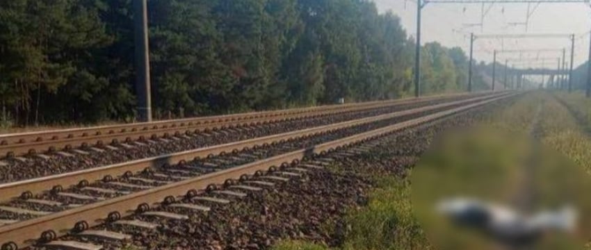 В Бресте поезд сбил 16-летнюю девушку