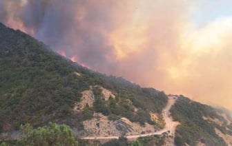 В России горят базы отдыха из-за лесного пожара