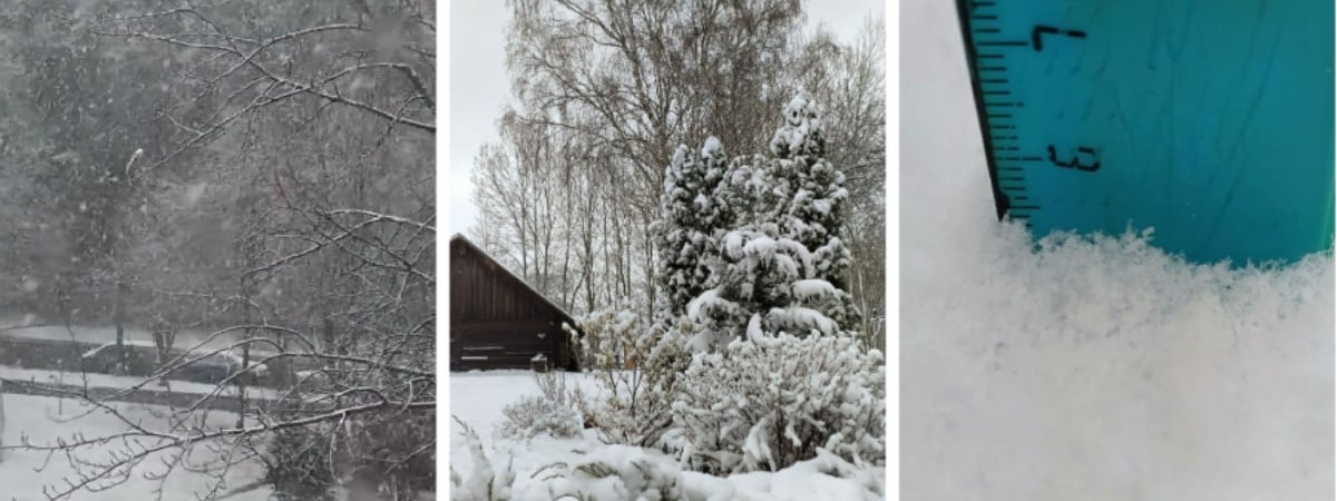 «А у нас зима» — Белорусы поделились видео апрельского снега — Видео