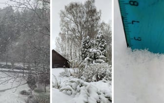 «А у нас зима» — Белорусы поделились видео апрельского снега — Видео