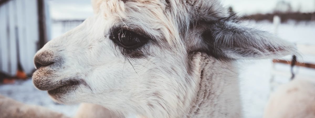 За январь-февраль сельхозпроизводство в Беларуси подросло на 1,2%