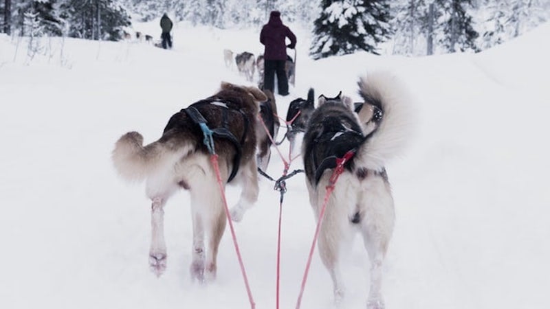 12 крутых идей для новогодней фотосессии