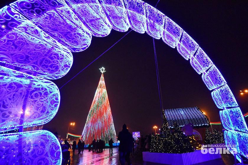 новогодняя ель гомель
