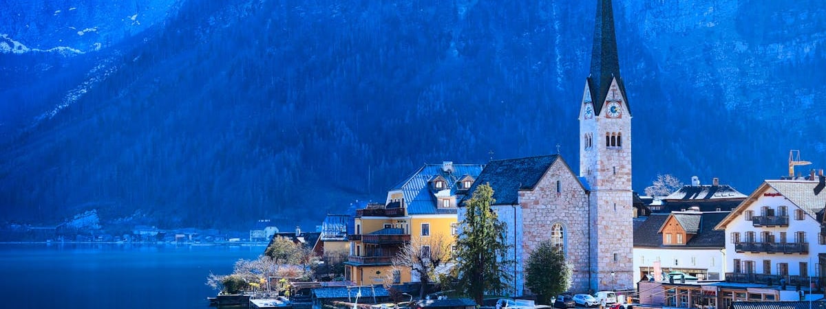 Австрия выделит Украине €7 млн евро на разминирование и доставку зерна