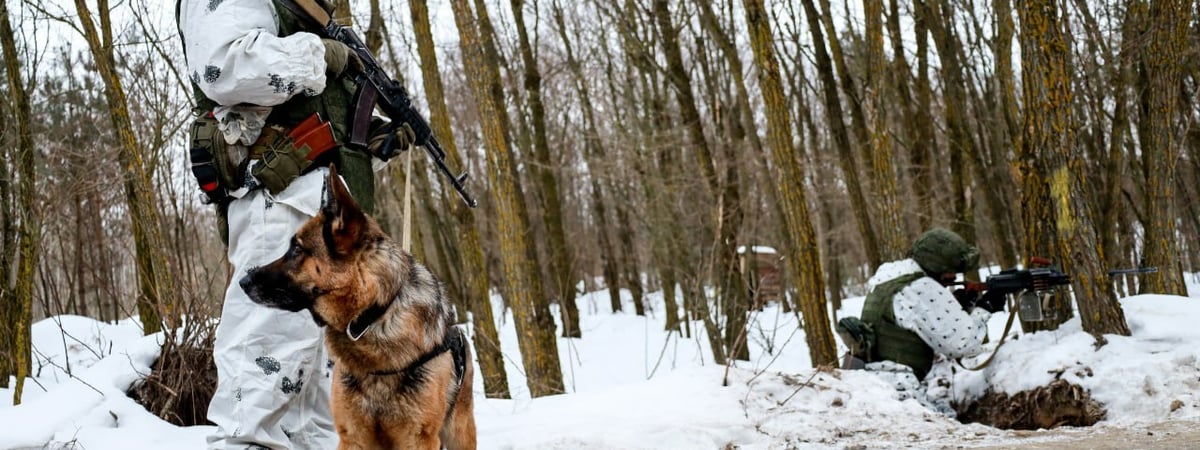 «Можно ожидать радикальных действий» — Пограничники решили ввести систему непрерывного визуального наблюдения за границей Украины