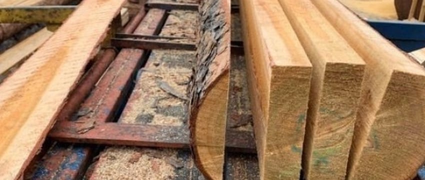 В Беларуси изменены условия реализации населению деловой древесины
