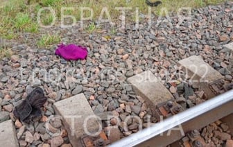 В Зельвенском районе под колесами поезда погибла пенсионерка