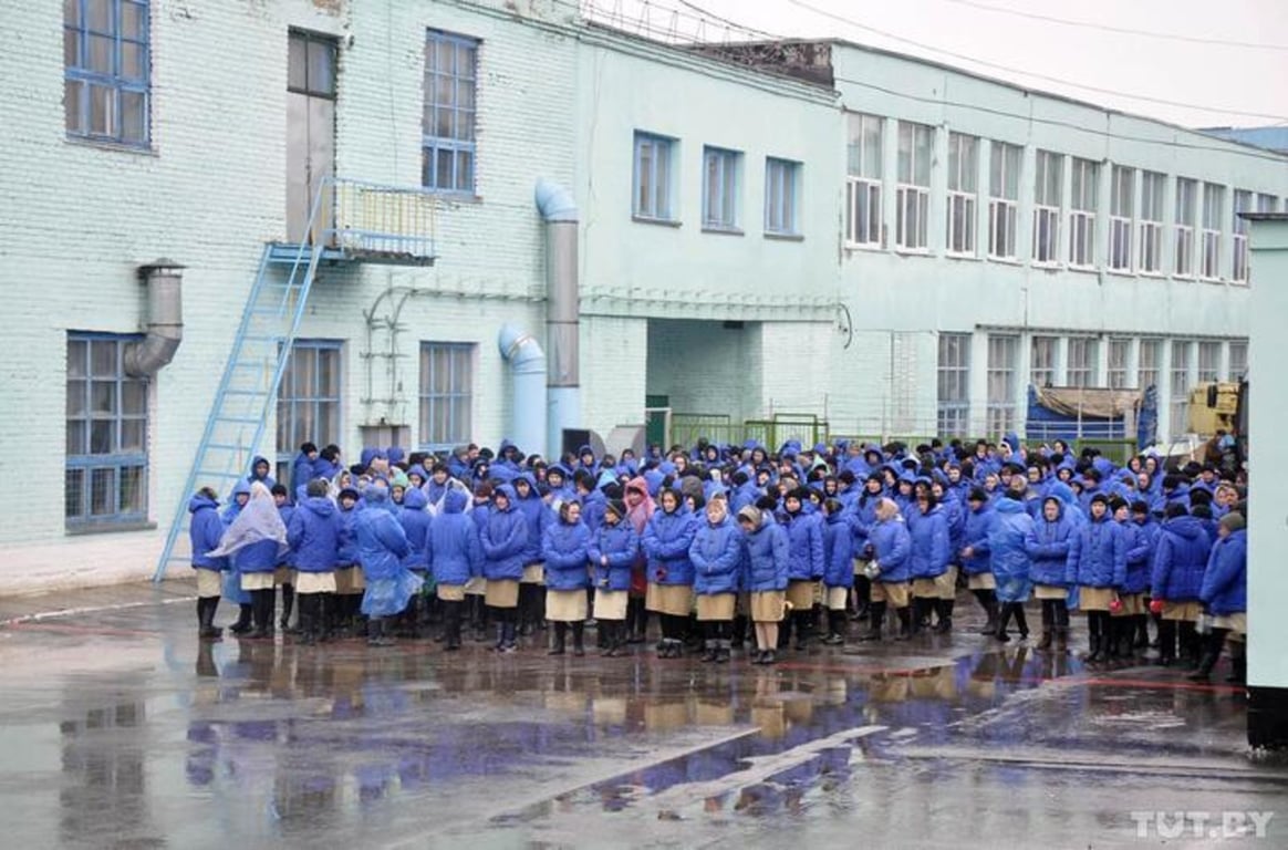 Изображение носит иллюстративный характер. Исправительная колония № 4, Гомель, 2014 год. Фото: TUT.BY