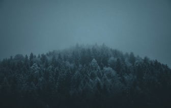 В темноте возрастает риск наезда на пешехода. Как не попасть в под колеса авто?