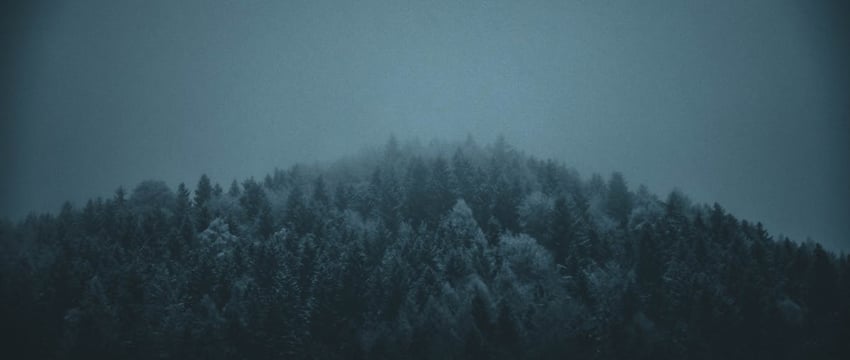 В темноте возрастает риск наезда на пешехода. Как не попасть в под колеса авто?