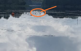 В Бресте мужчина ночью пошел купаться и пропал. Вот чем всё закончилось