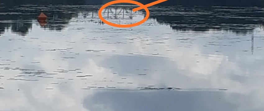 В Бресте мужчина ночью пошел купаться и пропал. Вот чем всё закончилось