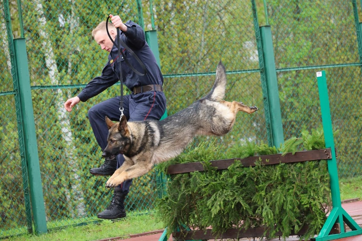 Триумфом брестчан завершились соревнования кинологов