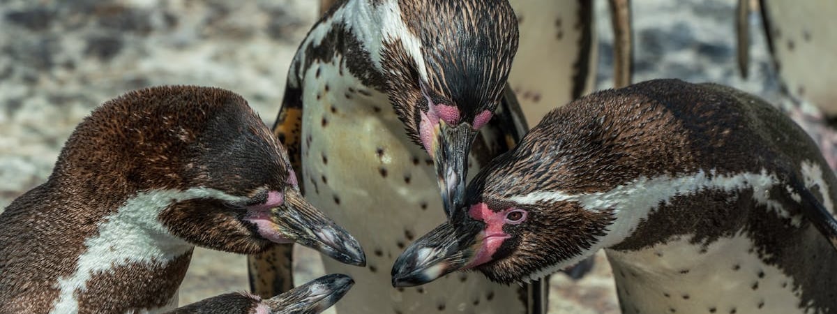 В колонии Волгоградской области заключенные взяли заложников