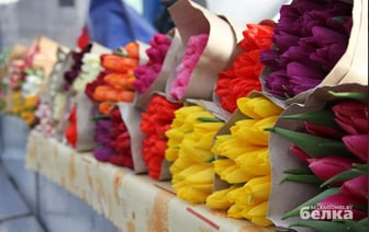 Многодетная мать осуждена за цветочную аферу в Гомеле