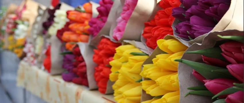 Многодетная мать осуждена за цветочную аферу в Гомеле