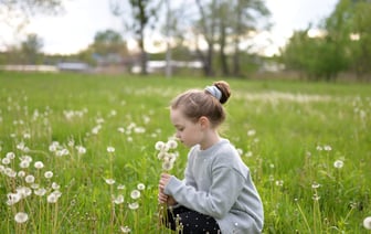 Украина готова к сделке с США по минералам, но не пойдет на территориальные уступки