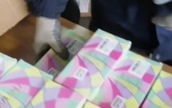 Брестские таможенники пресекли ввоз незадекларированных товаров на 180 тысяч рублей