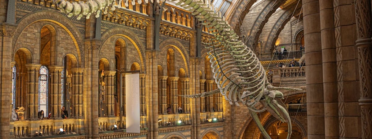 В Великобритании 200 компаний перешли на четырехдневную рабочую неделю