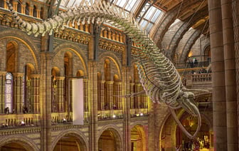 В Великобритании 200 компаний перешли на четырехдневную рабочую неделю