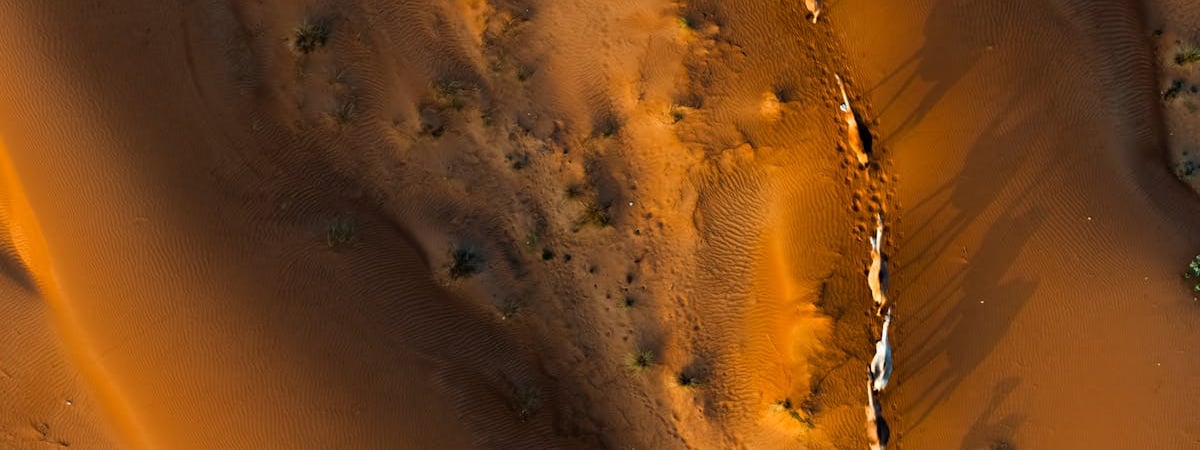 Коалиция дронов выделяет €20 млн на закупку для Украины разведывательных БпЛА