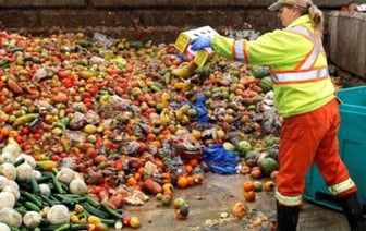 Сколько еды человечество выбрасывает в мусор – исследование