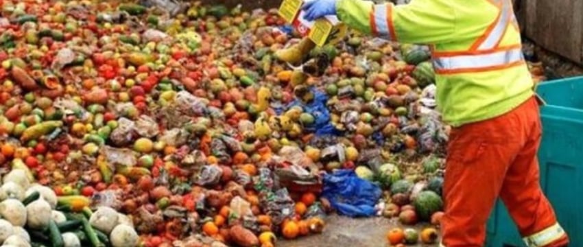Сколько еды человечество выбрасывает в мусор – исследование