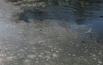 В Брестской области нашли тело человека