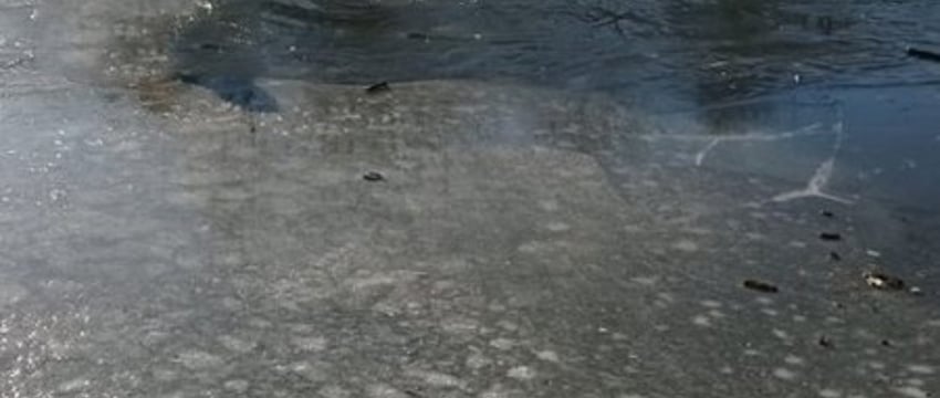 В Брестской области нашли тело человека