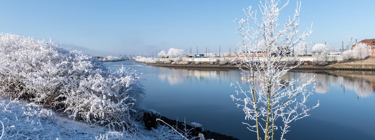 С 1 февраля в Беларуси повышаются размеры бюджета прожиточного минимума
