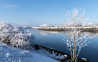 С 1 февраля в Беларуси повышаются размеры бюджета прожиточного минимума
