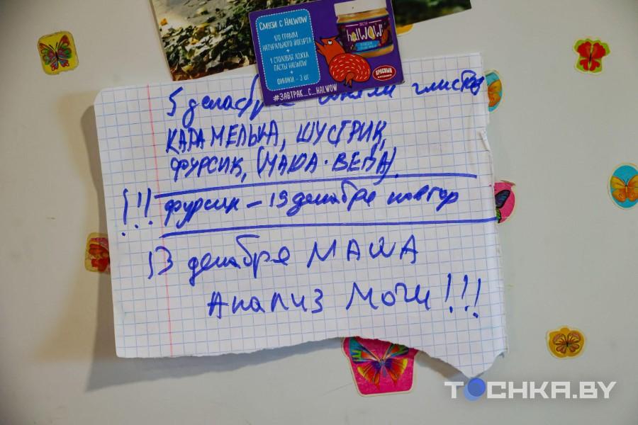 Девушка с инвалидностью спасает парализованных животных и делает им коляски