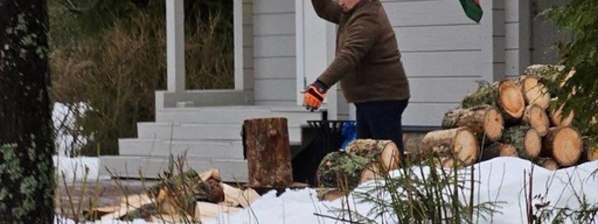 «Челентано уже не тот». Лукашенко нарубил дров под Питером