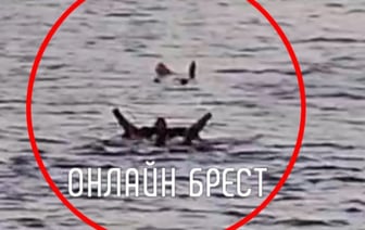 Появилось видео, как в Бресте спасали женщину, которая прыгнула с моста