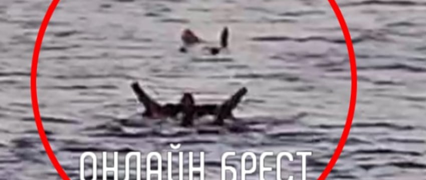 Появилось видео, как в Бресте спасали женщину, которая прыгнула с моста