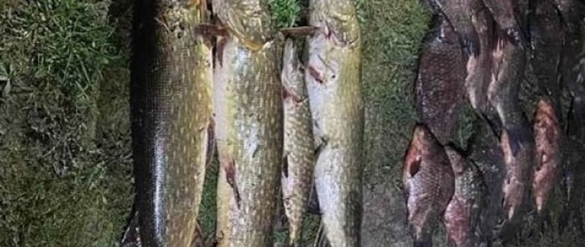 Два белоруса нарыбачили на уголовку: узнали подробности