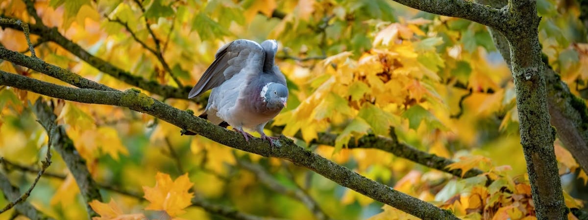 ЕС ужесточит миграционный контроль на границах Беларуси и РФ