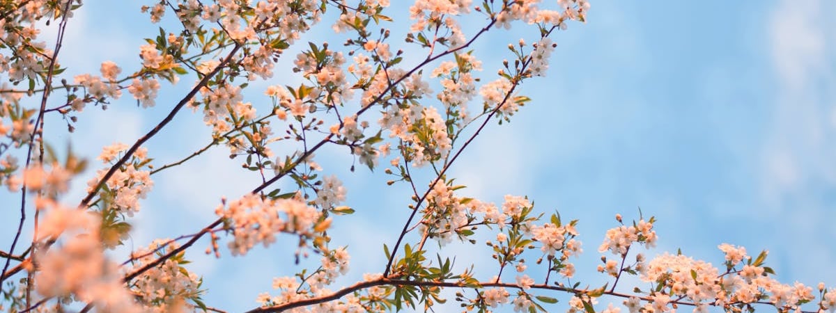 Нацбанк: Предприятия Беларуси не имеют существенных проблем с трансграничными платежами
