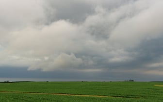 240 рабочих мест создадут в Полоцке, открыв новое производство на площадях СЭЗ «Витебск»