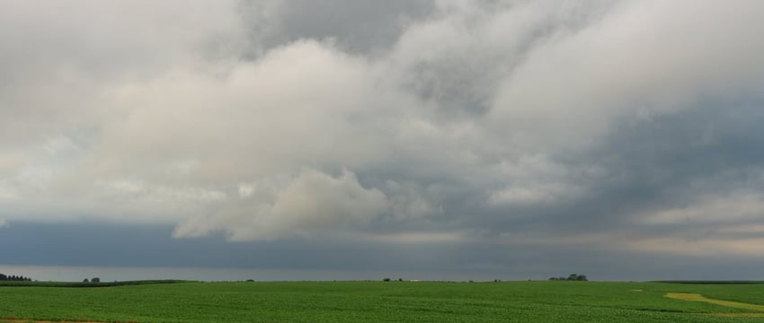 240 рабочих мест создадут в Полоцке, открыв новое производство на площадях СЭЗ «Витебск»